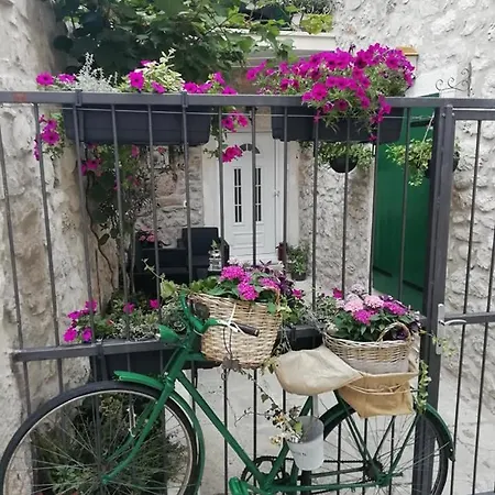 Teta Jadre Apartman Makarska